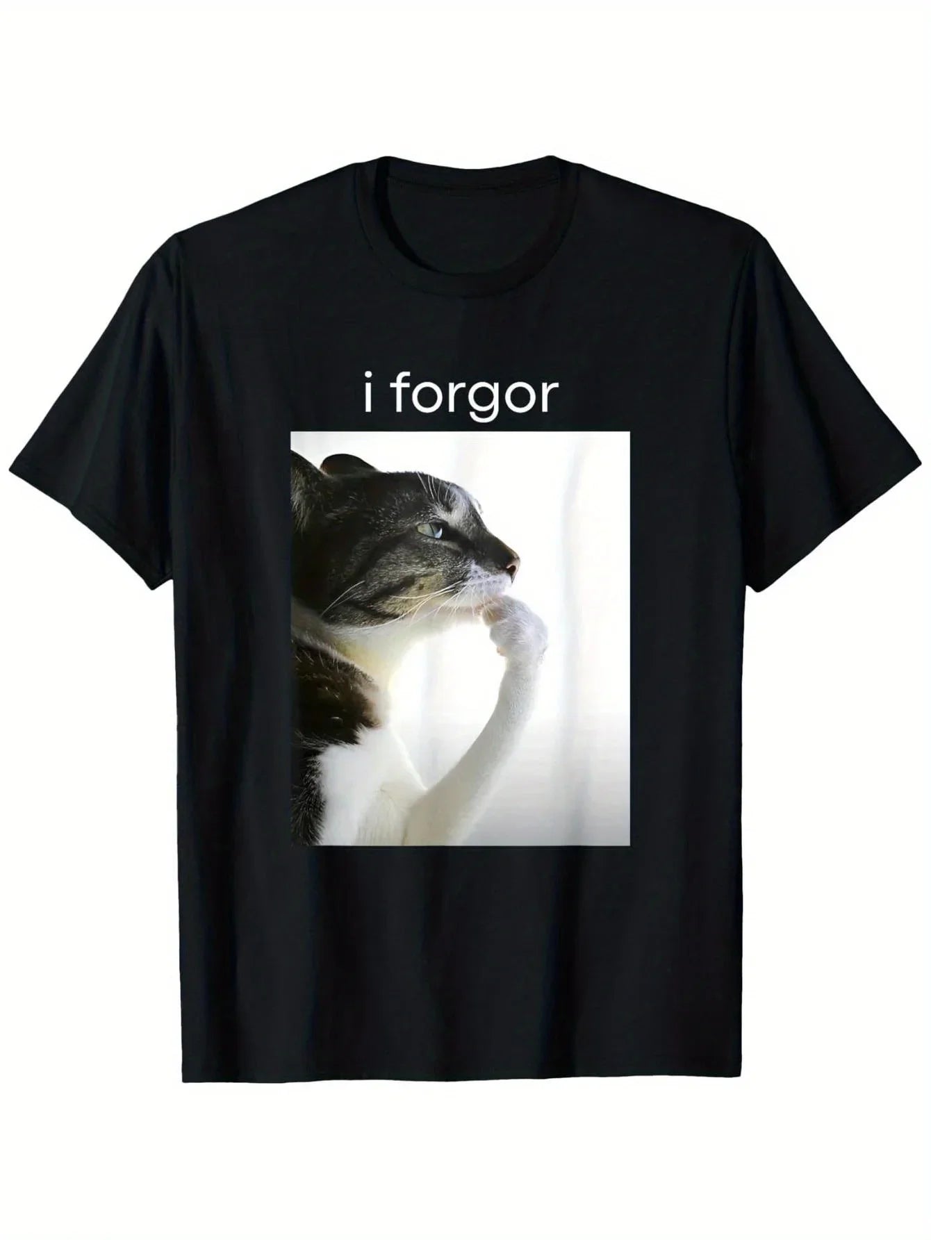Cat Meme "I Forgor" T-Shirt